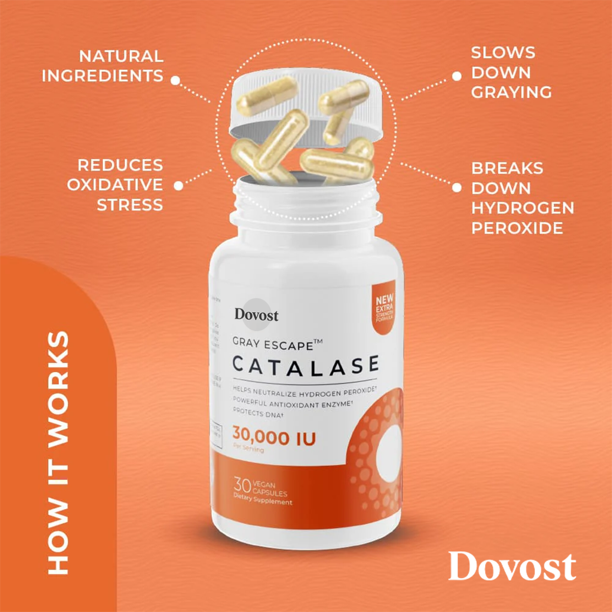 DOVOST Catalase CORE 30,000 - Ultra High Potency For Gray Hair - Vegan